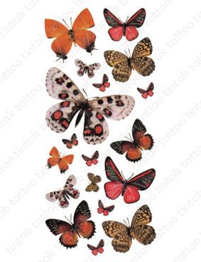 Set of small butterfly temporary tattoo designs in different colors.