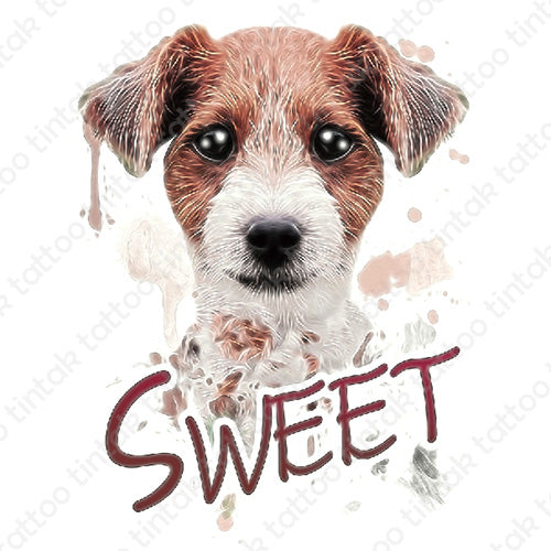 Brown dog temporary tattoo design with the word SWEET written below it.